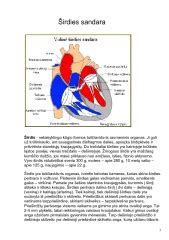 Įgimtos širdies ydos