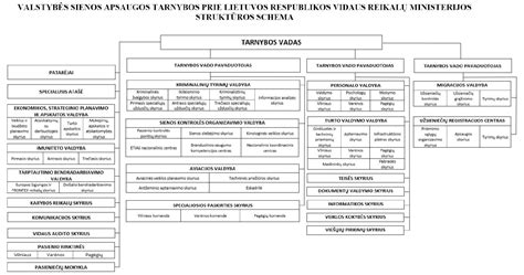 Įvaikinimo procesas Lietuvoje schema