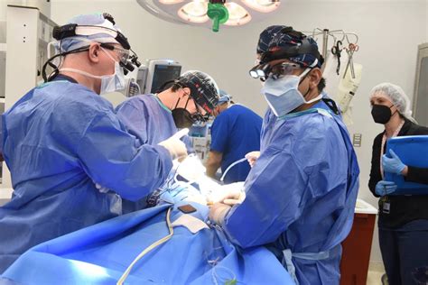 Širdies transplantacija