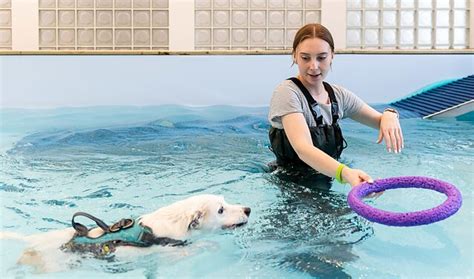 Šunų reabilitacija vandenyje