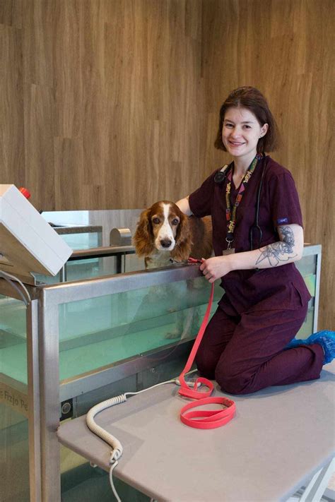 Šunų reabilitacijos pratimai