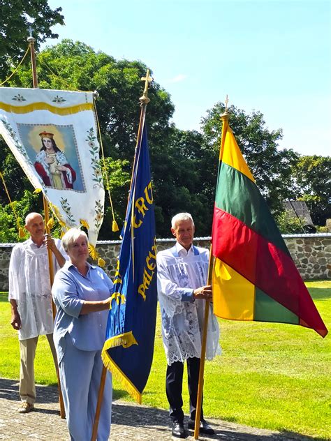 Šv. Domininko namų logotipas