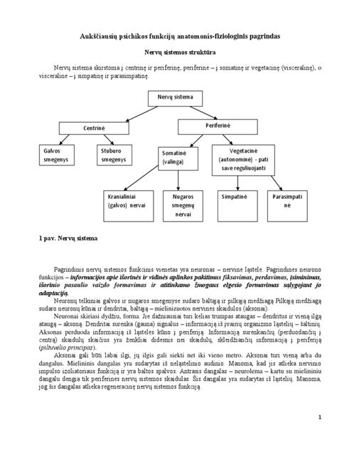 Švedijos pensijų sistemos struktūra