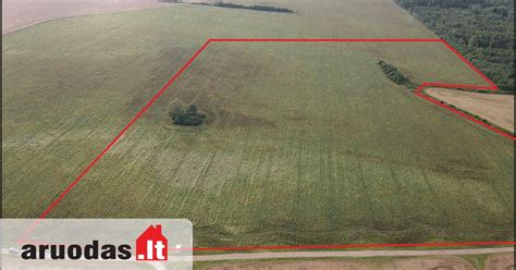 Žemės sklypas Viršužiglyje