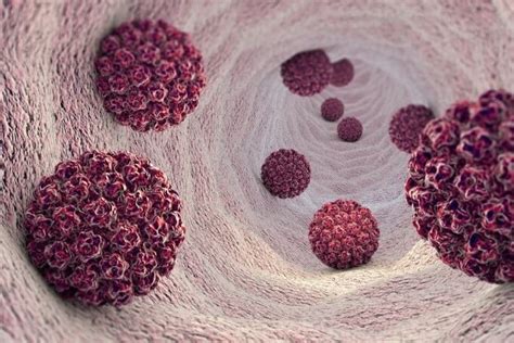 Žmogaus papilomos virusas