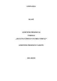 Žmogus patiria stresą