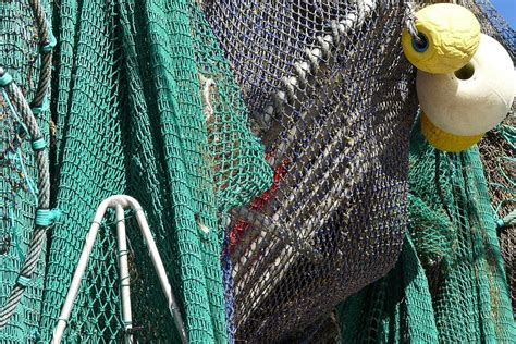 Žvejybos apribojimai schema