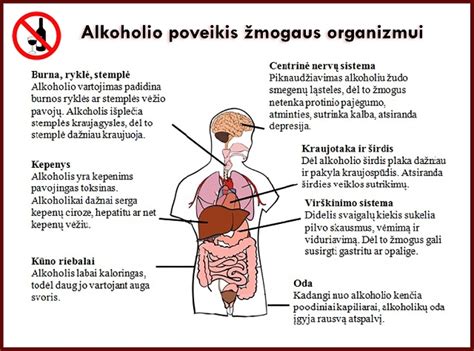 Alkoholis ir organizmas