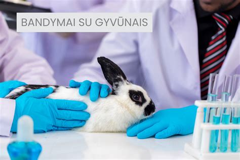 Alternatyvos eksperimentams su gyvūnais