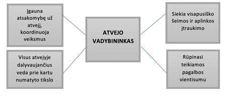 Atvejo vadybos proceso schema