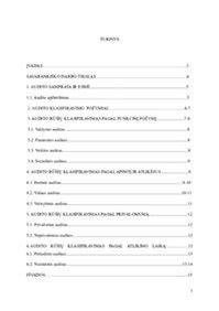 Audito rūšys pagal funkcinį požymį