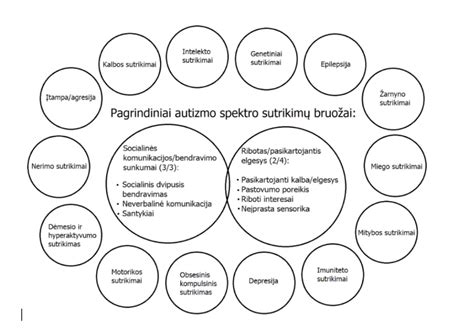 Autizmo spektro sutrikimai