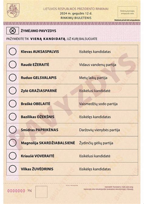 Balsavimo biuletenio pavyzdys