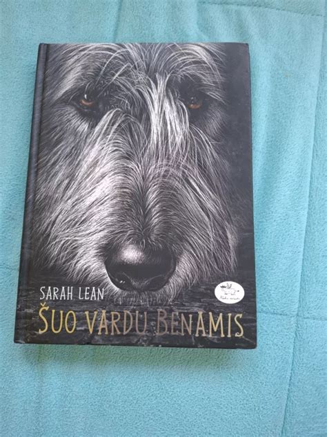 Benamis šuo gatvėje