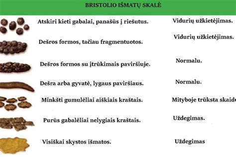 Bristolio išmatų skalė