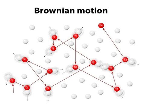 Brownian Motion