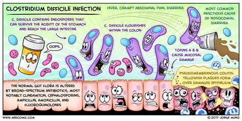 Clostridium Difficile