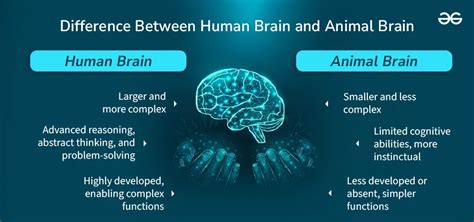 Cognitive-abilities-of-humans-and-animals
