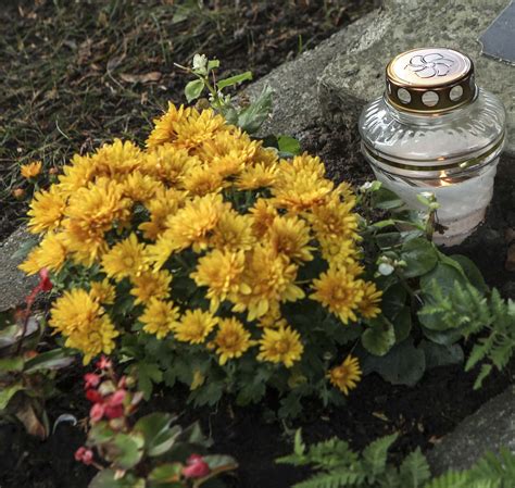 Darbo ginčas teisme