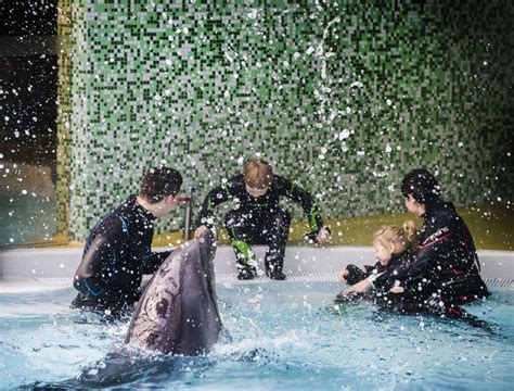 Delfinų terapijos centras