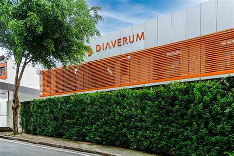 Diaverum slaugytojai