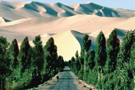 Didžioji žalioji siena