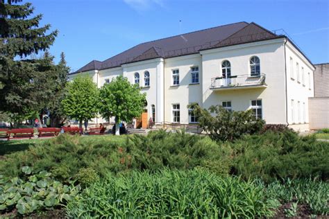 Didvyžių socialinės globos namai