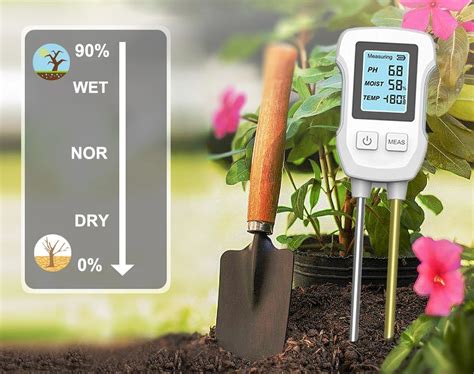 Dirvožemio pH įtaka