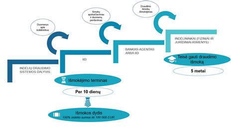 Draudimo išmokos apskaičiavimo schema