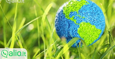 ES parama užimtumui