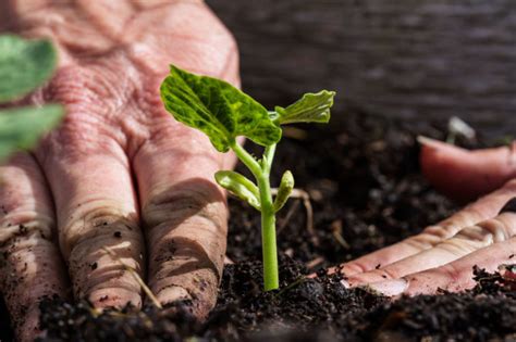 Ekologiškas verslas