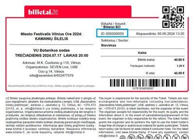 Elektroninio bilieto pavyzdys