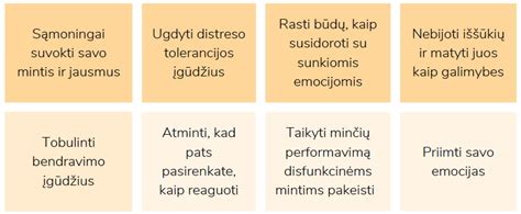 Emocinio intelekto komponentai