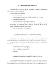 Etikos kodekso struktūra