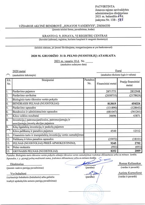 Finansines ataskaitos