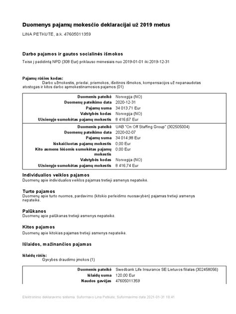 GPM311 deklaracijos pavyzdys