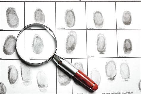 Galtono pirštų atspaudai