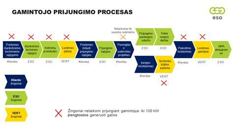Gaminančio vartotojo schema