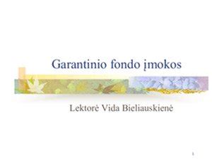 Garantinio fondo schema