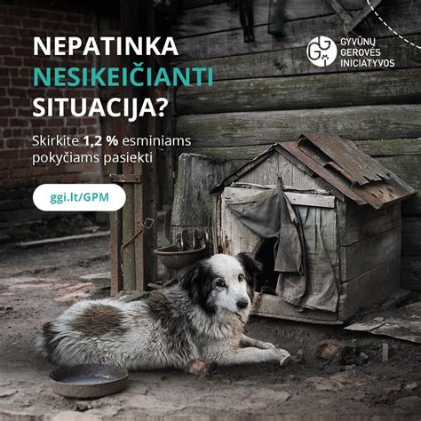 Gyvūnų gerovės infografikas