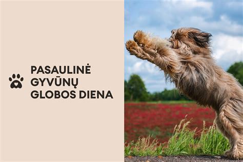 Gyvūnų globos diena