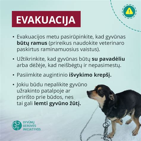 Gyvūnų nepriežiūra