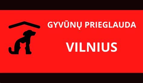 Gyvūnų prieglaudos infografikas