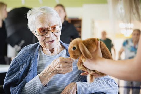 Gyvūnų terapija įkalinimo įstaigose