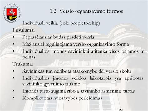 Individualios įmonės savininkas