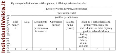 Individualios veiklos apskaitos žurnalas