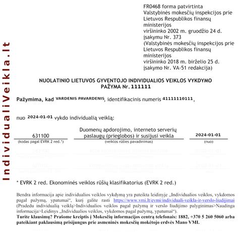 Individualios veiklos registracija VMI