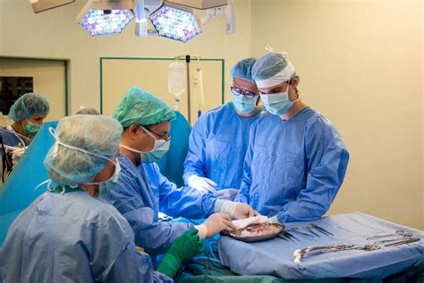 Inkstų transplantacijos procesas