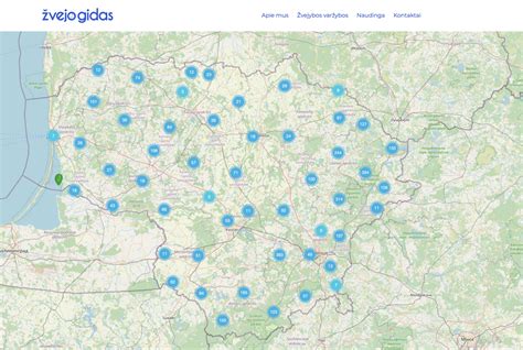 Interneto žemėlapis