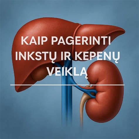 Kaip pagerinti inkstų veiklą